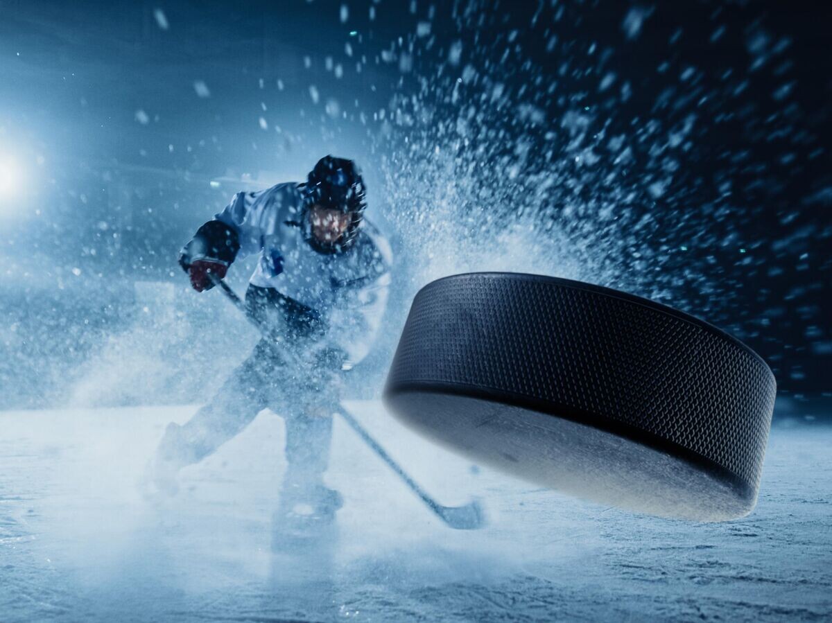    Хоккей | © iStock.com / gorodenkoff