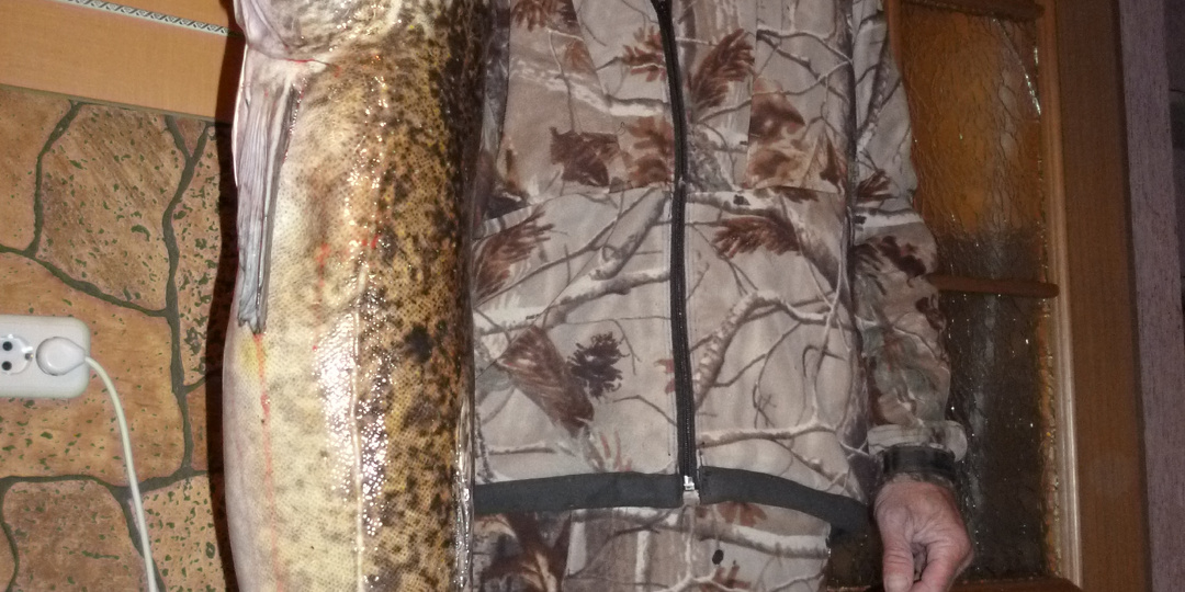 Женщина с коромыслом |Таинственная кость в черепе налима