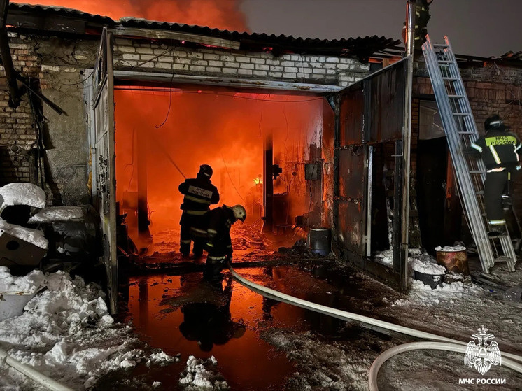     фото МЧС