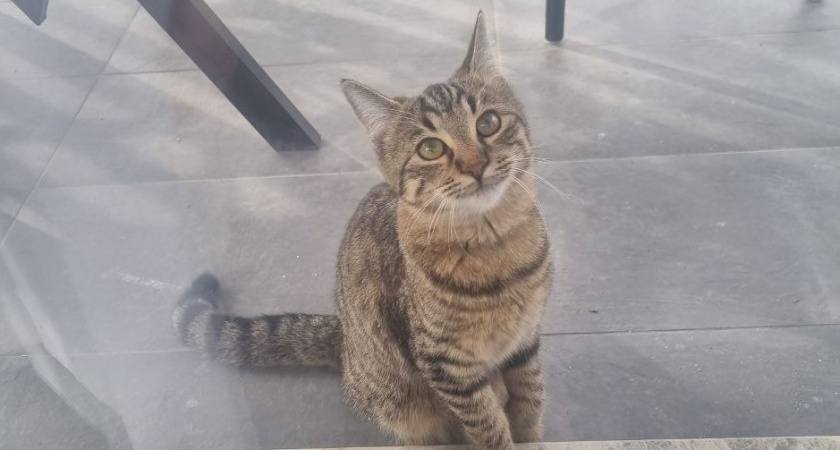    Фото Анастасии Дмитриевой