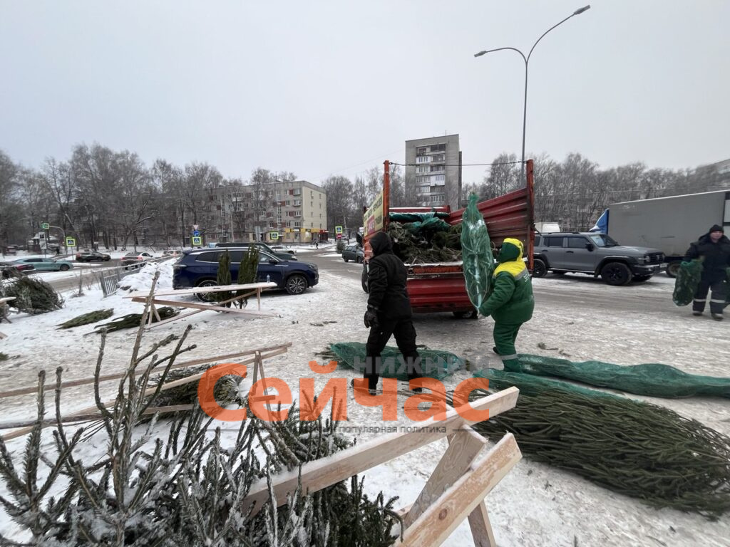    Фото: администрация Нижнего Новгорода Редакция nn-now