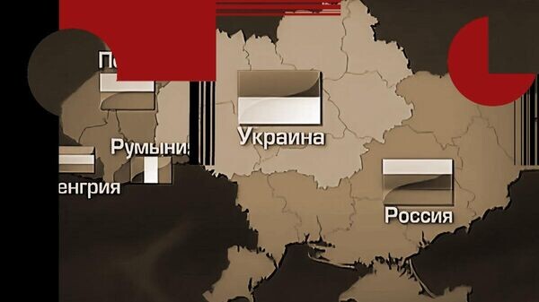    © Фото : скриншот видео