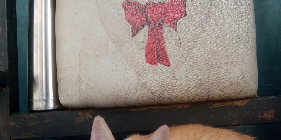 Они тут повсюду! Уличные кошки в Малайзии. Страна бобтейлов.