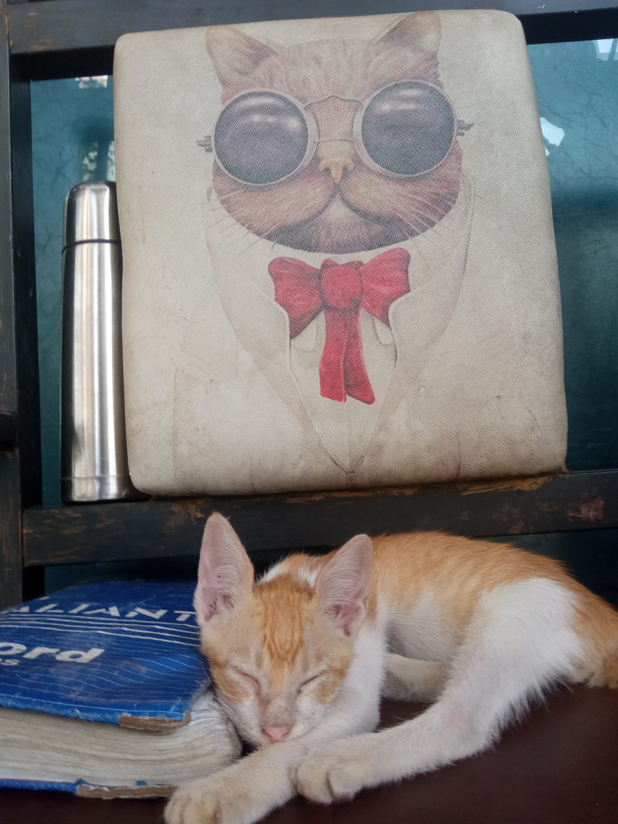 На лавочке перед выходом в кафе.