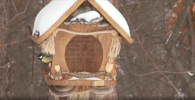 ИА "Тюменская линия"