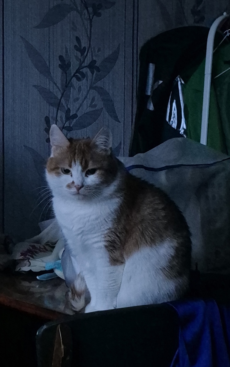 первое, что увидела, как проснулась. С утра нужно смотреть на красоту