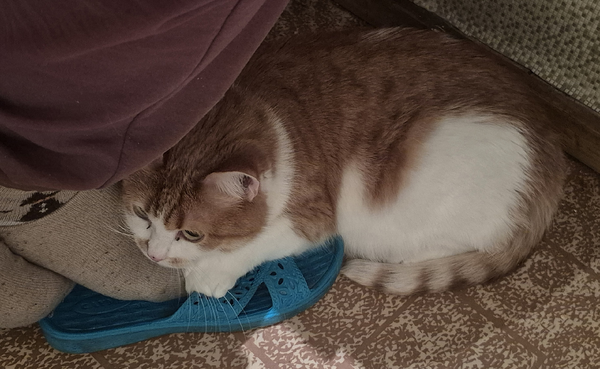 работали ночью с моей помощницей