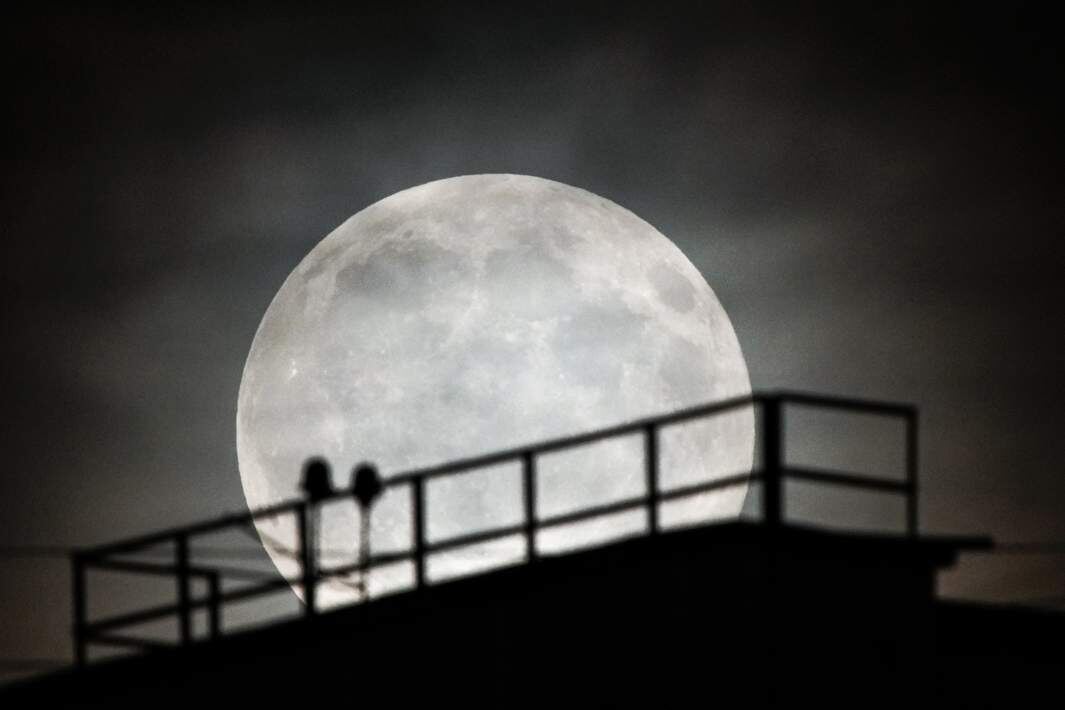 Фото: ИЗВЕСТИЯ/Сергей Лантюхов