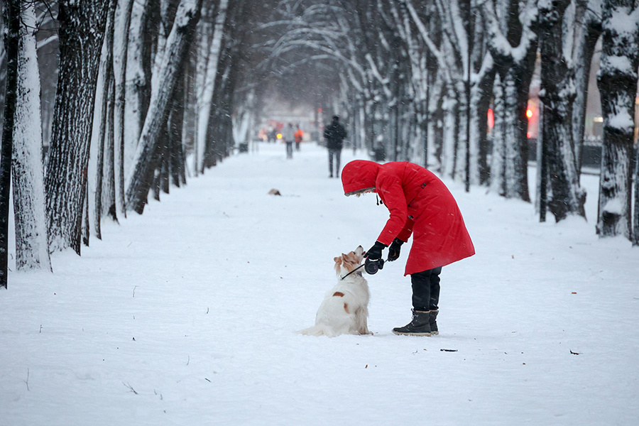    ©Агентство городских новостей "Москва"