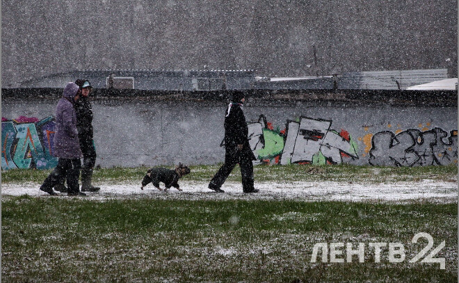    © Анастасия Илюшина / ЛенТВ24, архивное фото