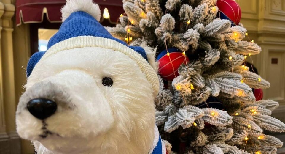    REGIONS/Елена Фурман