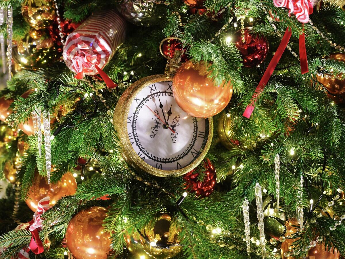    Открытие выставки дизайнерских елей "Любимые фильмы детства" | © РИА Новости / Алексей Никольский