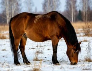    Изображение сгенерировано нейросетью Шедеврум Мария Михайловская