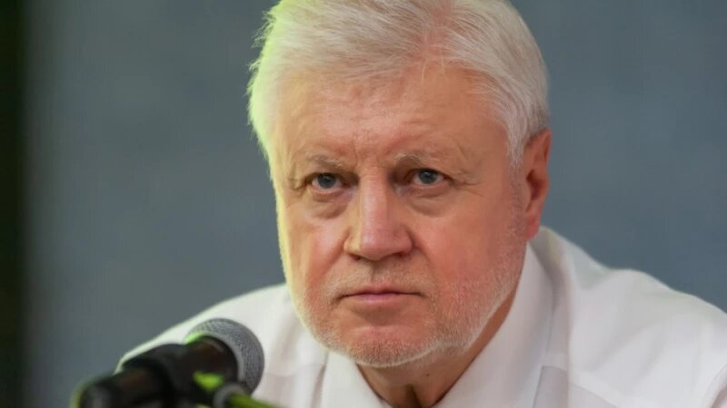     Сергей Миронов. Дмитрий Лямзин