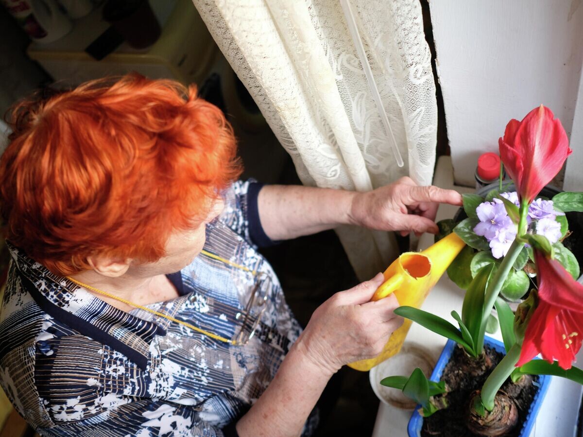    Женщина ухаживает за комнатными растениями у себя дома | © РИА Новости / Николай Хижняк