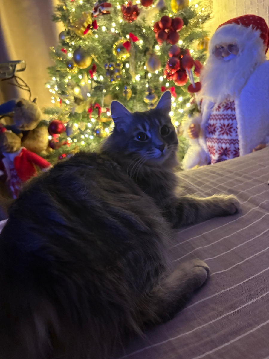 Это мы вчера вечером с Дэнчиком, папа на сутках, Дэнчик на его месте.