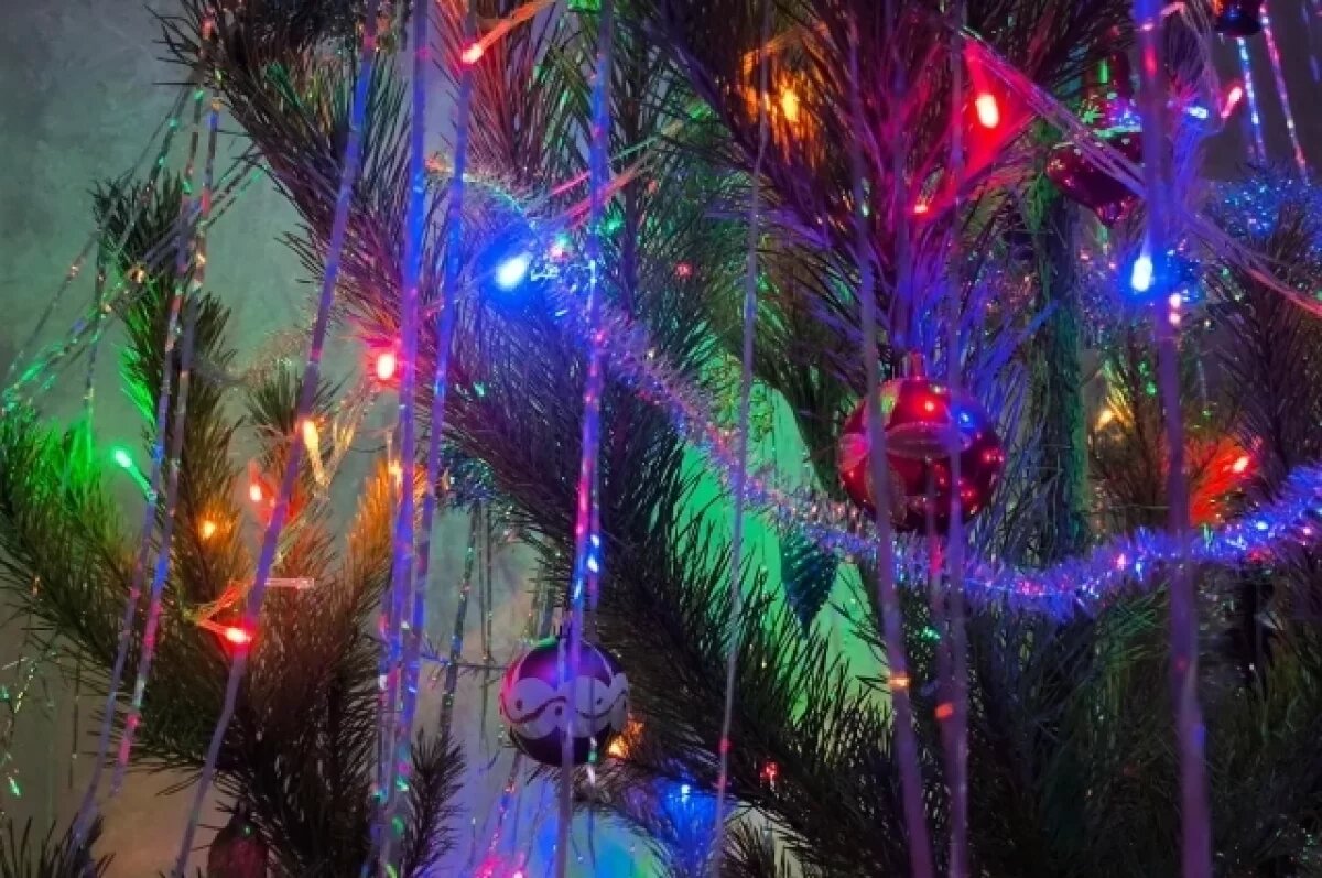    Зелёная и пушистая.