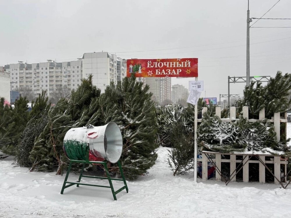    Фото: АиФ/ Юлия Францова