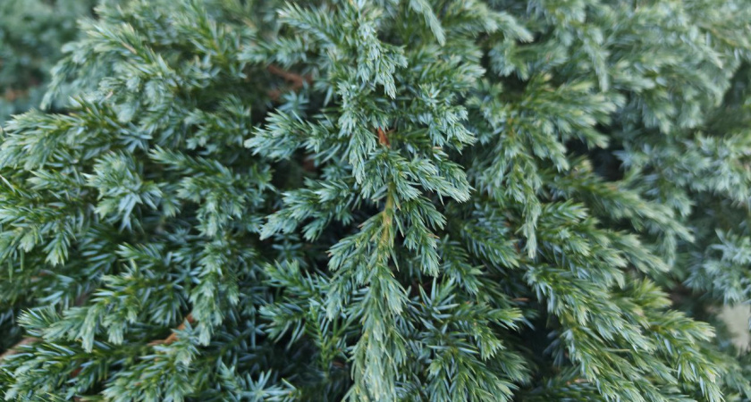    Архив редакции