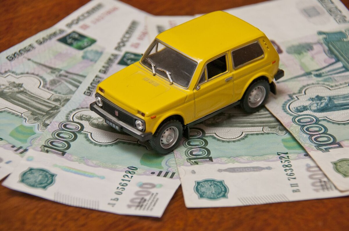    Фото: Александр Зинченко