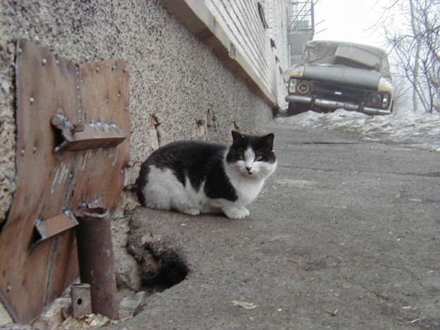 Фото из личного архива.