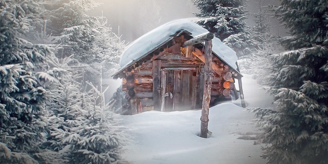 увидел это в лесу и обалдел