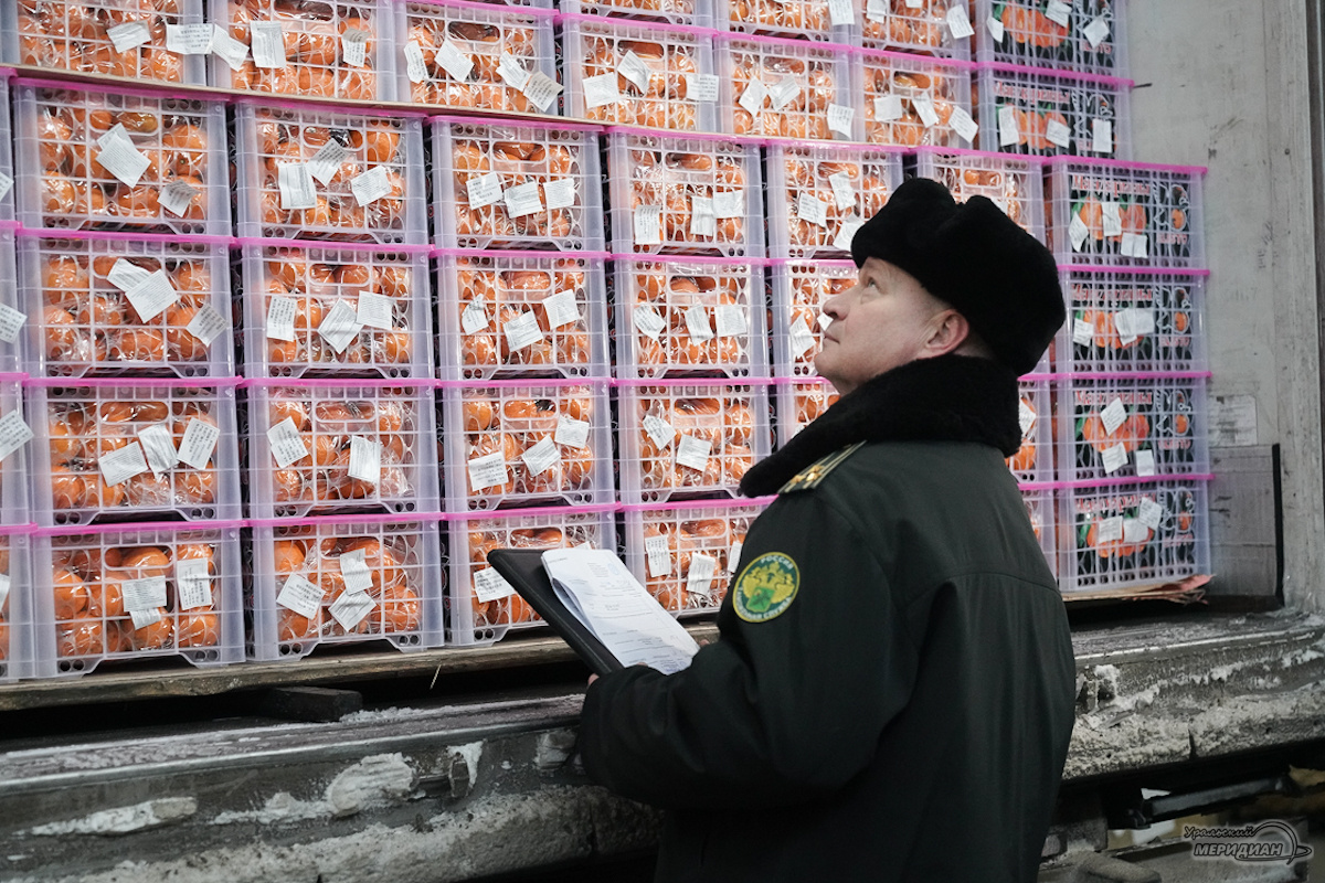    Фото: Лидия Аникина © ИА «Уральский меридиан»