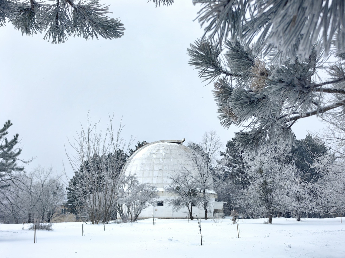 Территория Крымской астрофизической обсерватории // Фото Ирины Андреевой