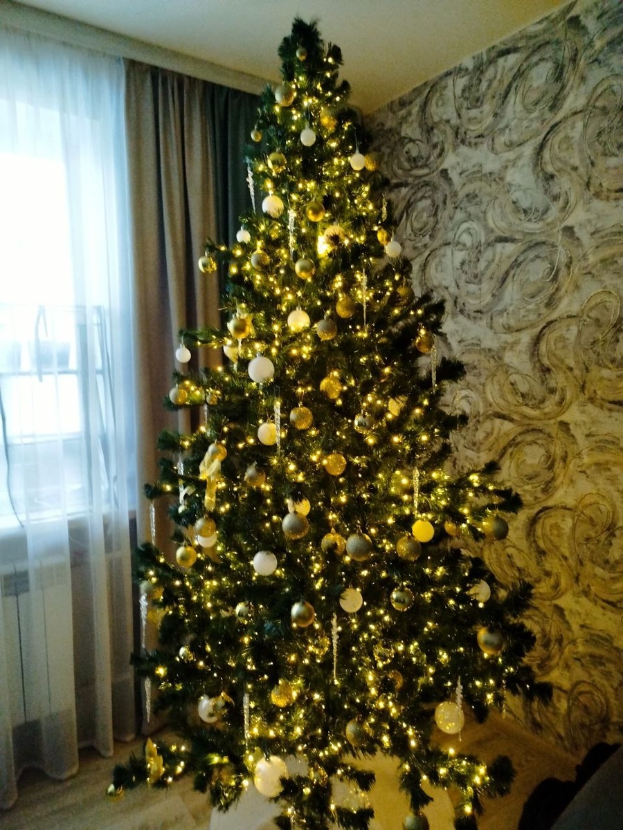 Наша красавица