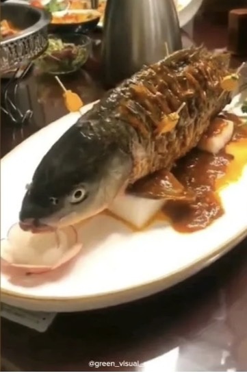 Яндекс фото. «Дышащая рыба»