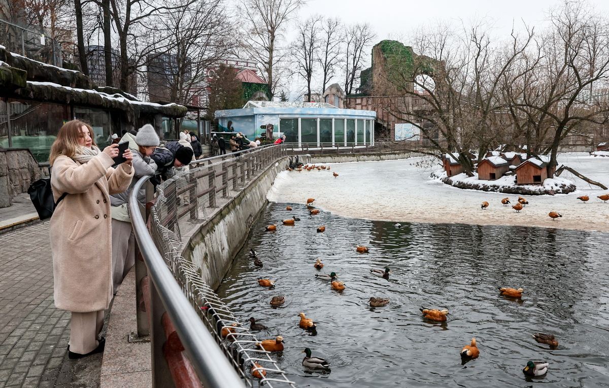 Сергей Булкин/ТАСС