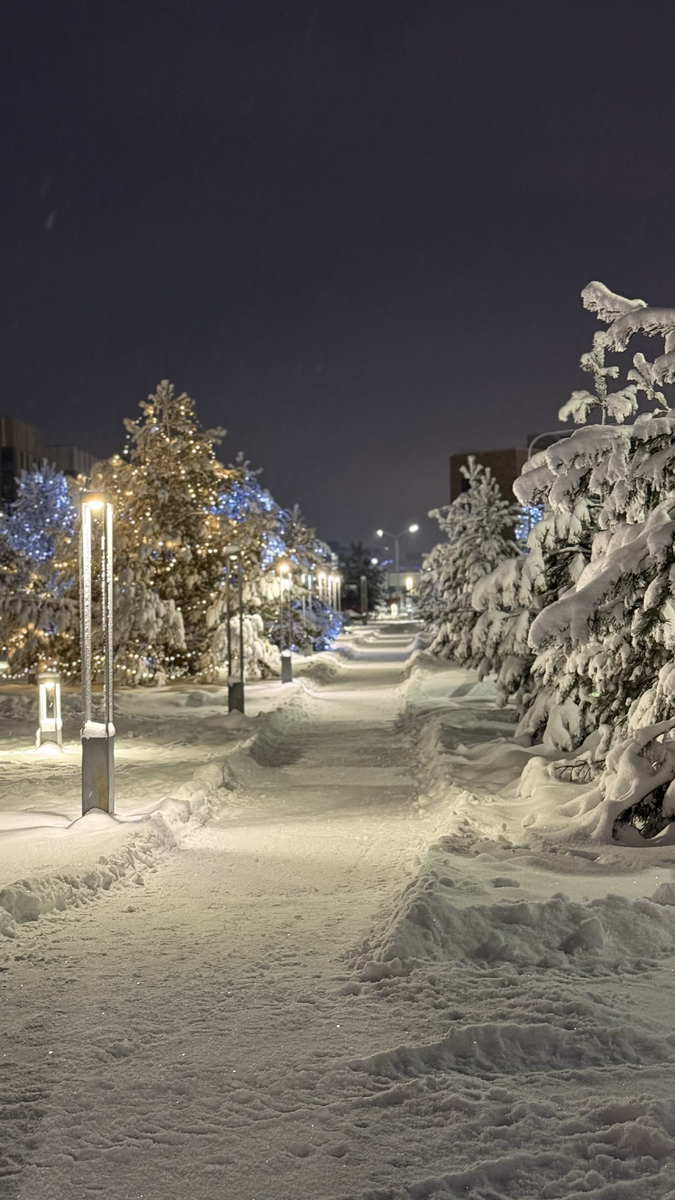 Новогодняя сказка!