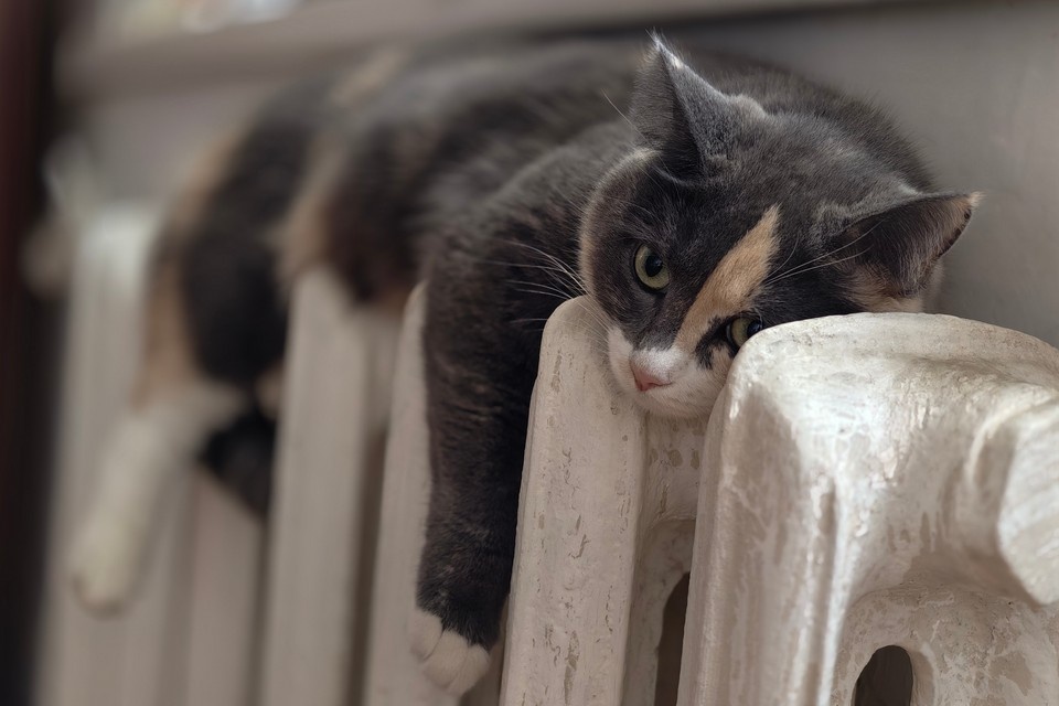    Отопление будут возвращать по мере выхода котлов на полную мощность. Алексей БУЛАТОВ