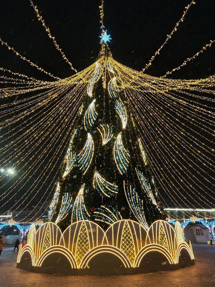     Фото: Марианна Альянова / «МК в Орле»