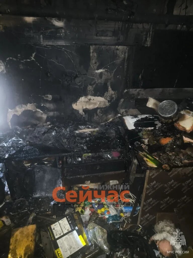    Фото: ГУ МЧС России по Нижегородской области Редакция nn-now