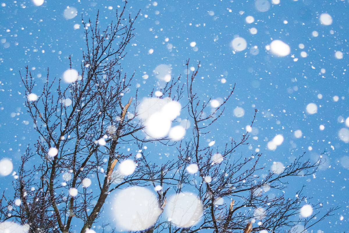 Где в новогоднюю ночь на Кубани ожидаются снегопады.  Фото: unsplash.com