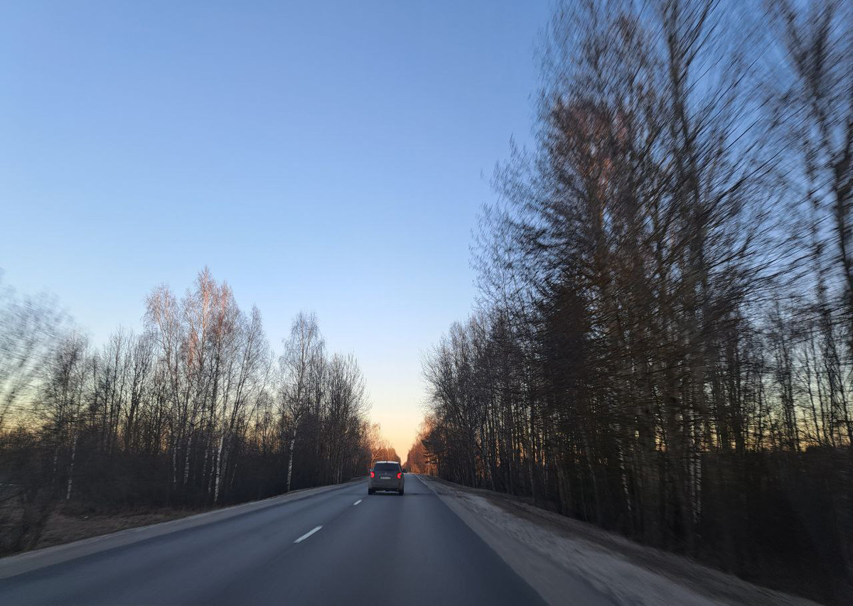 Крупные звери обходят существующие тоннели, выходя на дорогу, где попадают под машины.  Фото: Фото: ФедералПресс / Вера Романескул