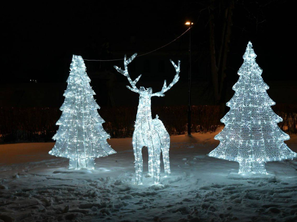    Фото: администрация Дмитровского округа