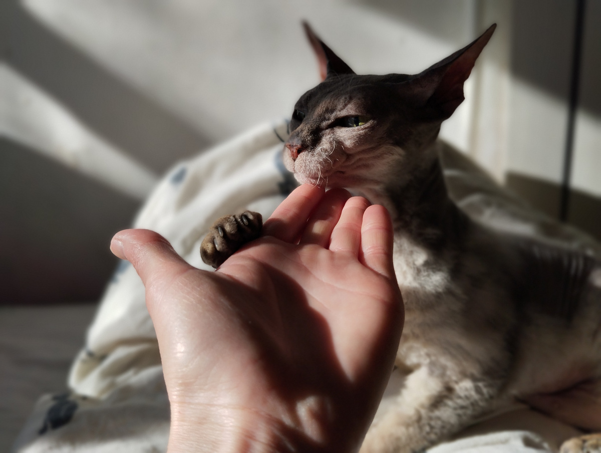 Клёпа. Она же Клеопатра. Самый большой её страх в жизни - что ее забудут покормить