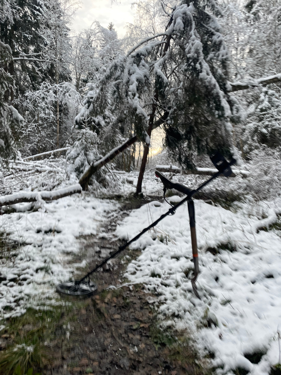 Закрывать сезон в лесу моя давнишняя традиция🥰 Посмотрите, какая красота! 
