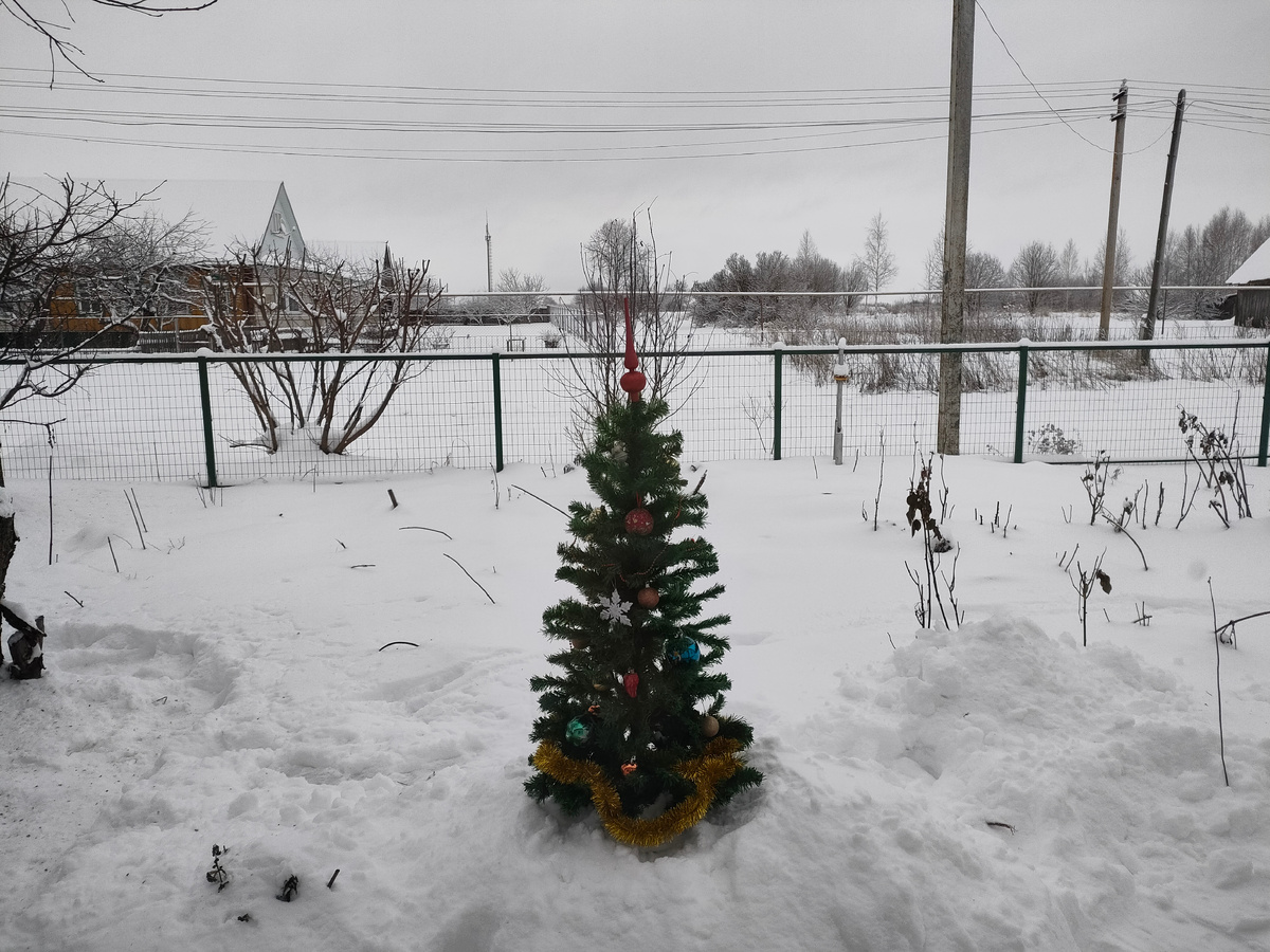 Наша елочка