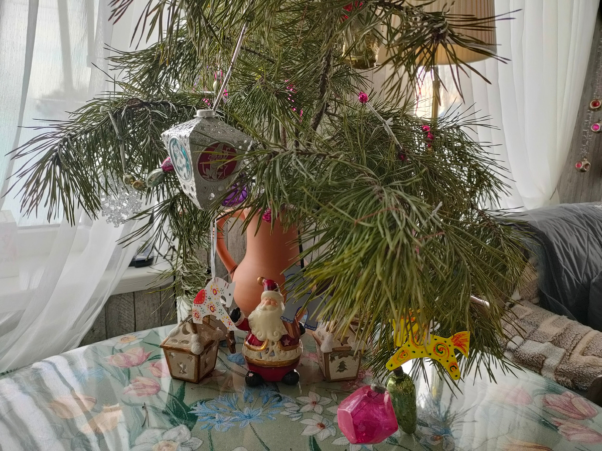 Наша домашняя "ёлка"