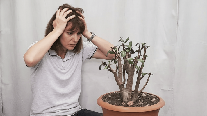 Источник фото shutterstock.com