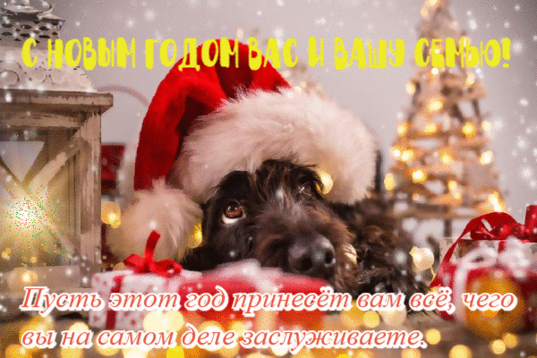 С новым годом вас и вашу семю