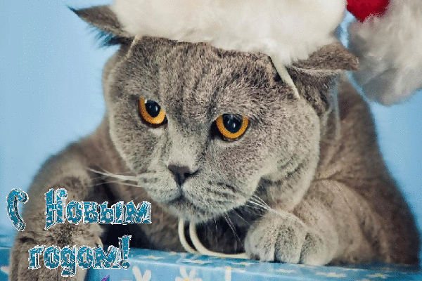 С Новым годом!