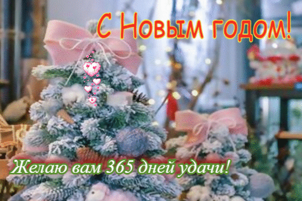 Желаю вам 365 дней удачи