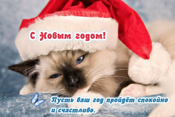 Спокойно и счастливо