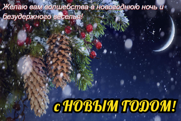 Желаю вам волшебства в новогоднюю ночь