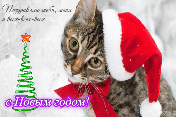 Поздравляю тебя, меня и всех