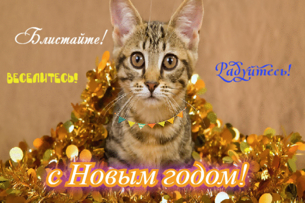 Блистайте. Веселитесь. Радуйтесь